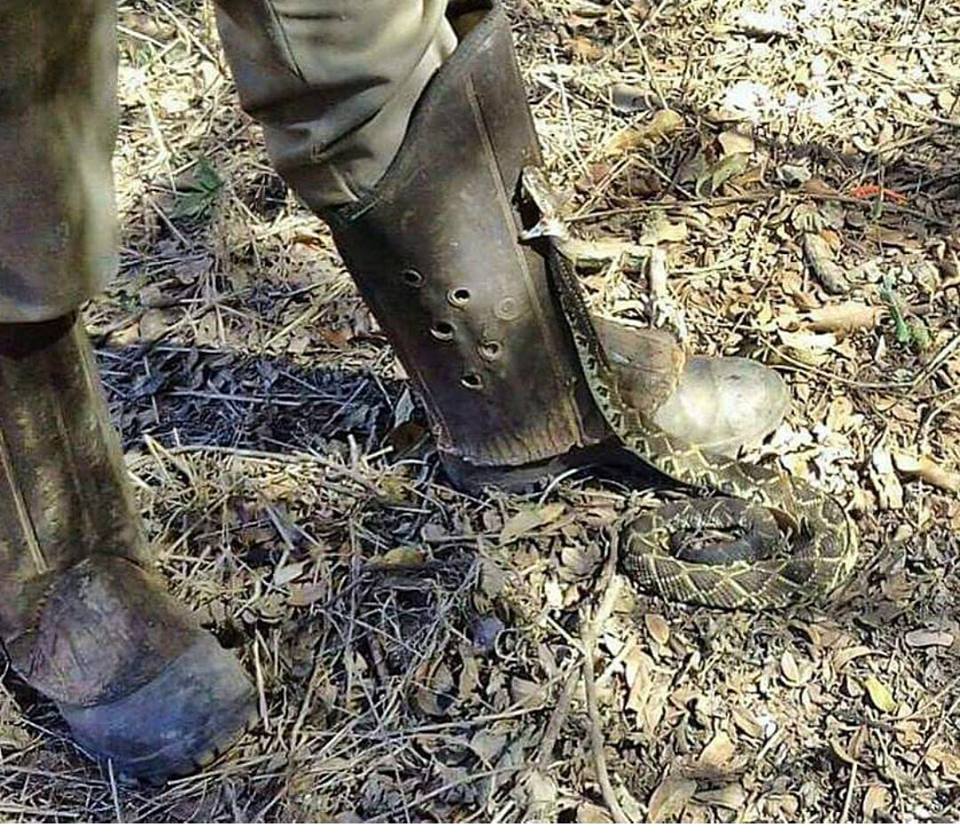 bota para proteção à picadas de cobras